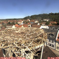 11_10-nest.jpg