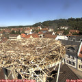 11_15-nest.jpg