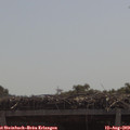 11_20-mast.jpg