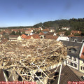 11_30-nest.jpg