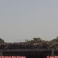 11_40-mast.jpg