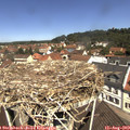 11_40-nest.jpg