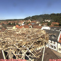 12_00-nest.jpg