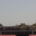 12_05-mast.jpg
