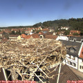 12_10-nest.jpg