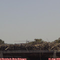 12_20-mast.jpg