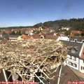 12_20-nest.jpg