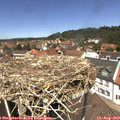 12_45-nest.jpg