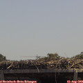 13_00-mast.jpg