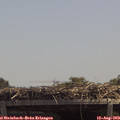 13_20-mast.jpg