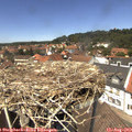 13_20-nest.jpg