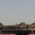 13_25-mast.jpg