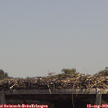 13_30-mast.jpg