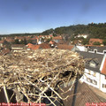13_30-nest.jpg