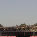 13_35-mast.jpg