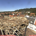 13_35-nest.jpg
