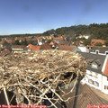 13_40-nest.jpg