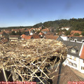 13_55-nest.jpg
