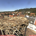 14_00-nest.jpg