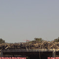 14_15-mast.jpg