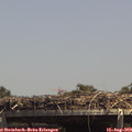 14_20-mast.jpg