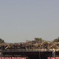 14_25-mast.jpg