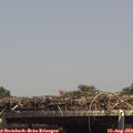 14_30-mast.jpg