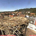 14_45-nest.jpg