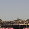 14_50-mast.jpg