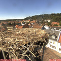 15_10-nest.jpg