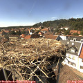 15_35-nest.jpg