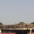 15_45-mast.jpg