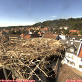 15_45-nest.jpg