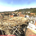 15_55-nest.jpg