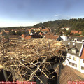 16_00-nest.jpg
