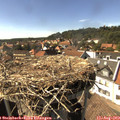 16_05-nest.jpg