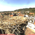 16_10-nest.jpg