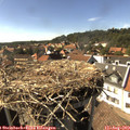 16_15-nest.jpg