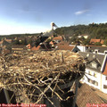16_25-nest.jpg