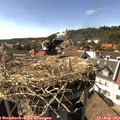 16_30-nest.jpg