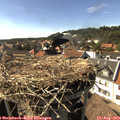 16_35-nest.jpg