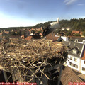16_45-nest.jpg