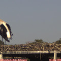 17_15-mast.jpg