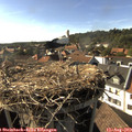 17_20-nest.jpg