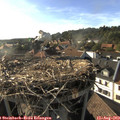 18_10-nest.jpg