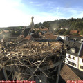 18_15-nest.jpg