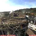 18_20-nest.jpg