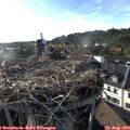 18_30-nest.jpg