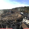 18_40-nest.jpg