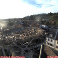 19_25-nest.jpg